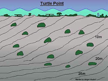 Turtle Point